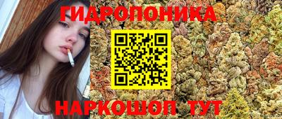 твердый Обь