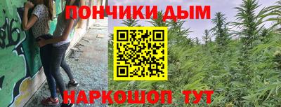 гидропоника Пугачёв