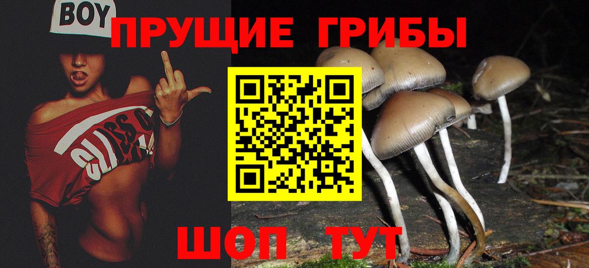 Галлюциногенные грибы MAGIC MUSHROOMS  Галлюциногенные грибы Psilocybe  Вход с VPN  Арзамас 